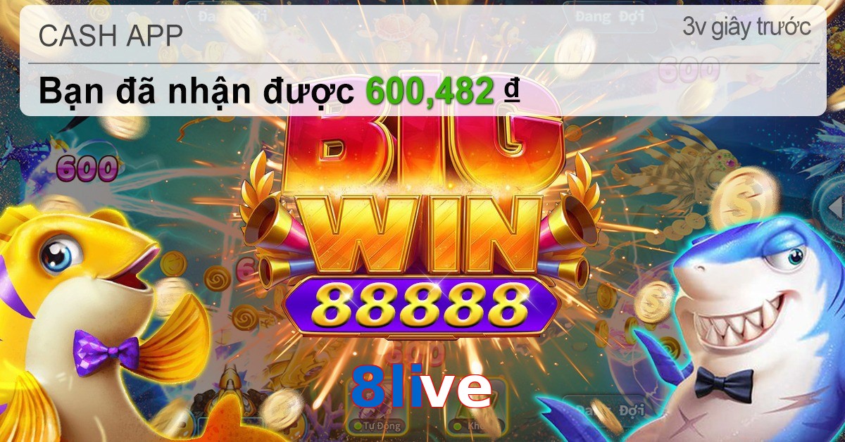 8live